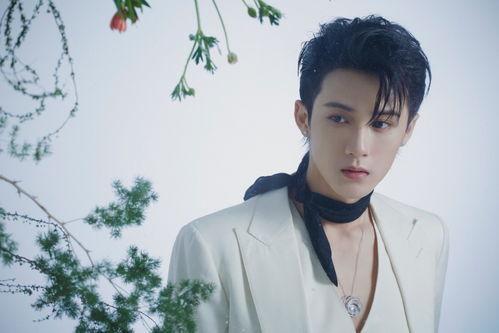 《娱乐》大爆料檀健次,幕后故事与精彩瞬间